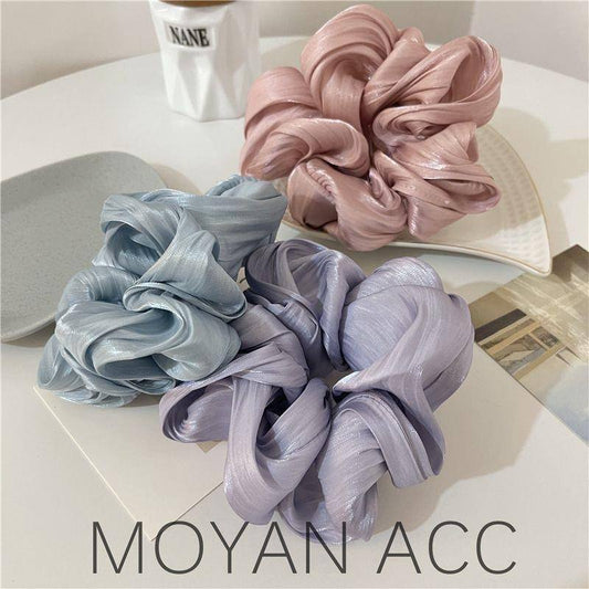 أستك بليسيه أورجانزا كبير