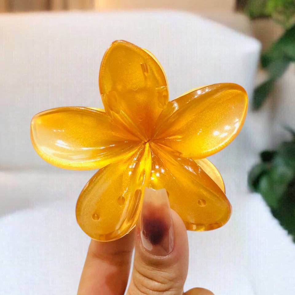 قفاش وردة ألوان زاهية