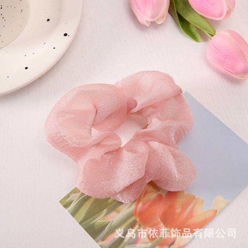 أستك أورجانزا كبير