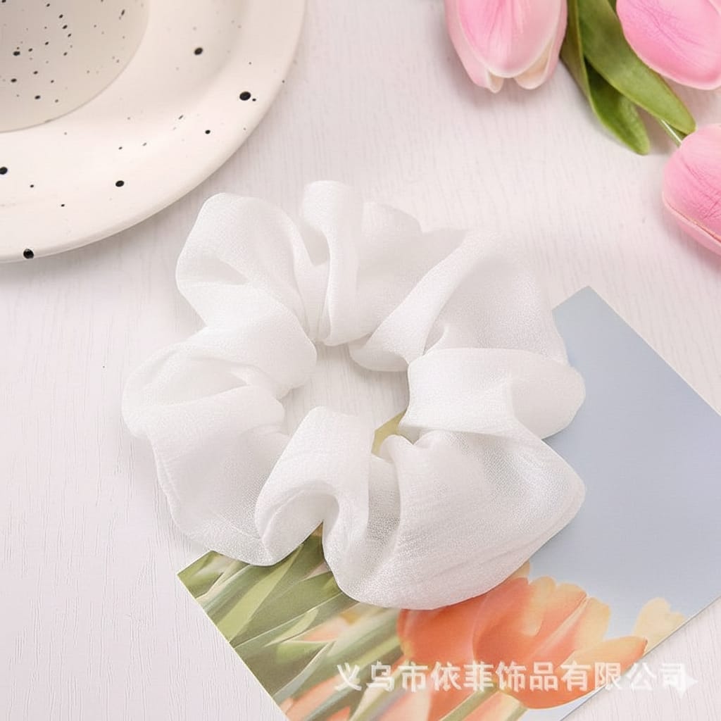 أستك أورجانزا كبير